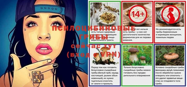 бошки Абдулино