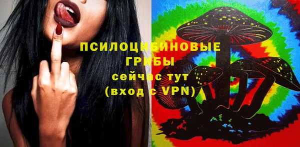 spice Абинск