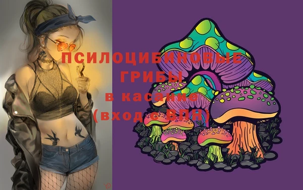 бошки Абдулино