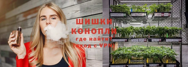 стаф Абаза